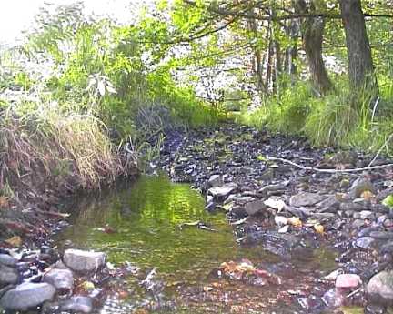 Der Dreschhausener Bach auf seinem Tiefspunkt