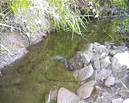 Der Wasserpegel betrug an einigen Stellen nur noch wenige Zentimeter