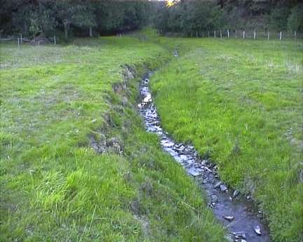 Es dauerte einige Wochen bis das sich der Bach von diesem extremen Tiefstand erholt hatte.